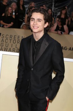 Los Angeles - 21 Ocak: Timothee Chalamet basın odası, Los Angeles, Ca üzerinde 21 Ocak 2018 tapınak Auditorium at 24th Screen Actors Guild Awards-