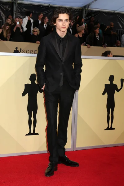 Los Angeles Jan Timothee Chalamet 24Th Screen Actors Guild Awards — Stock Photo, Image