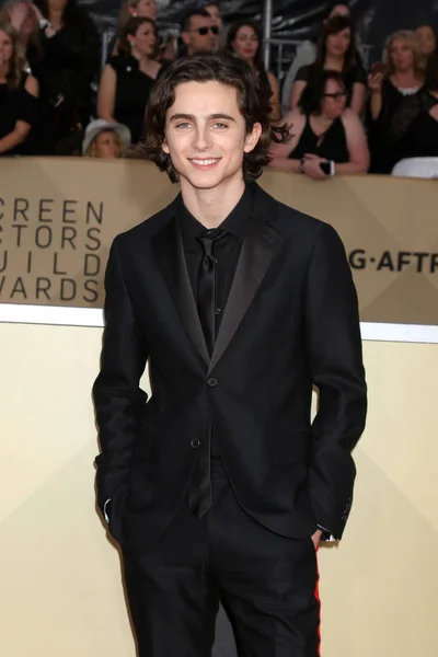 Los Angeles Jan Timothee Chalamet 24Th Screen Actors Guild Awards — Stock Photo, Image