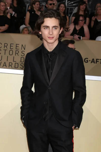 Los Angeles Jan Timothee Chalamet 24Th Screen Actors Guild Awards — Stock Photo, Image