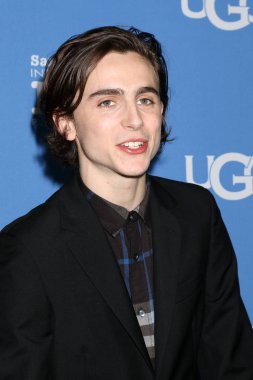 Aktör Timothee Chalamet