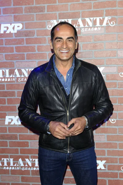 Agente Navid Negahban —  Fotos de Stock