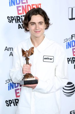 Aktör Timothee Chalamet