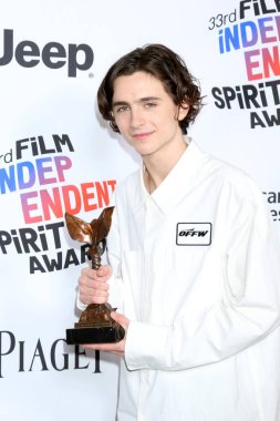 Aktör Timothee Chalamet