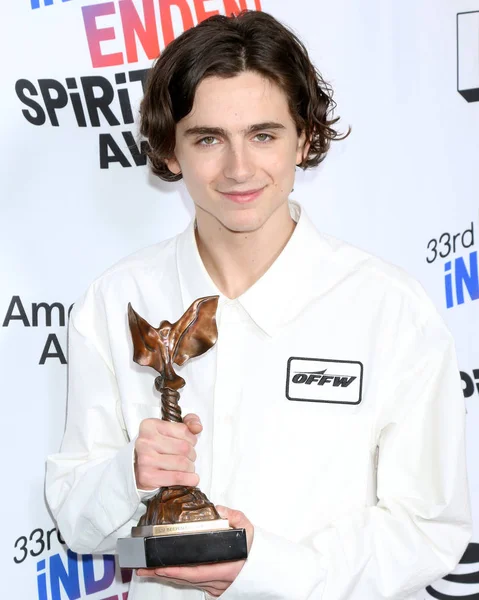 Aktör Timothee Chalamet