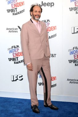 Aktör Luca Guadagnino