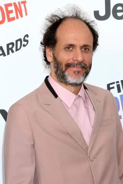 Schauspieler Luca Guadagnino — Stockfoto