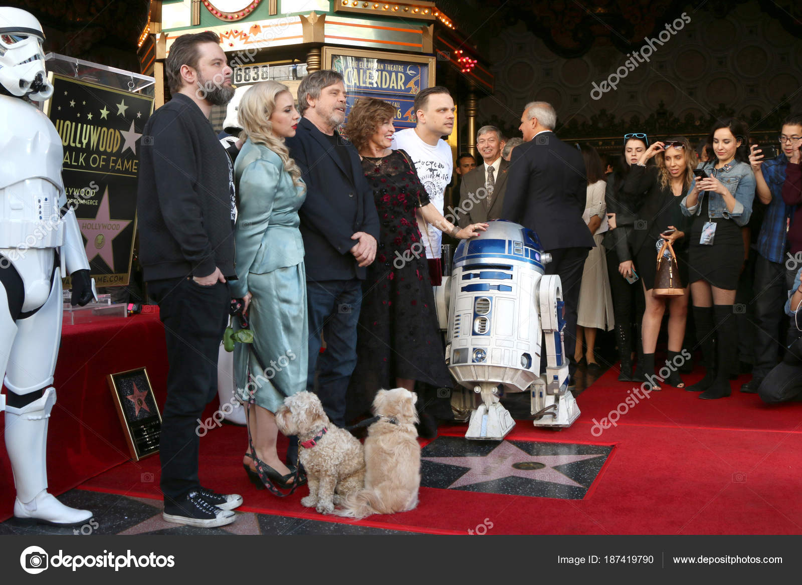 Griffin Hamill Chelsea Hamill Mark Hamill Marilou Hamill Nathan Hamill Stock Editorial Photo C Jean Nelson