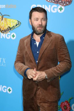 aktör Joel Edgarton