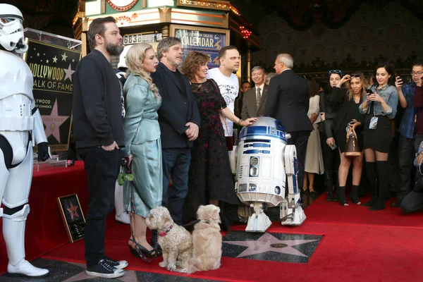 Griffin Hamill, Chelsea Hamill, Mark Hamill, Marilou Hamill, Nathan Hamill — Stock Photo, Image