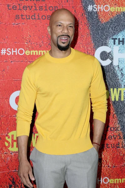 Common, Lonnie Rashid Lynn Jr — Stock Photo, Image