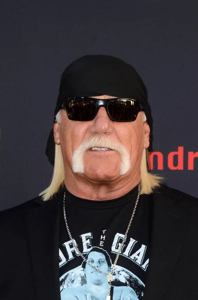 Actor Hulk Hogan — Stock Photo, Image