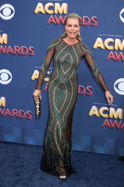 aktris Rebecca Romijn