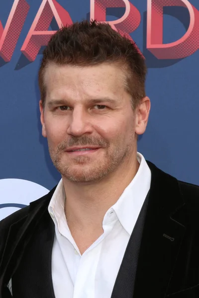 Aktör David Boreanaz — Stok fotoğraf