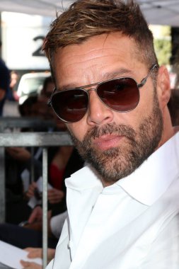 şarkıcı Ricky Martin