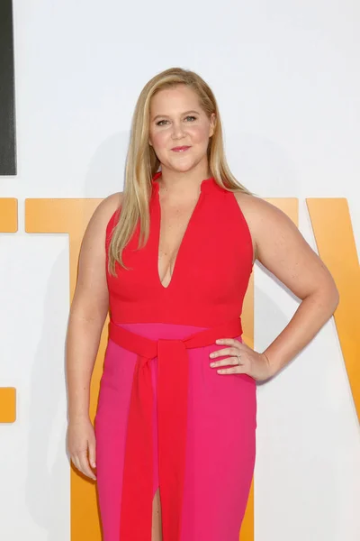 L'actrice Amy Schumer — Photo