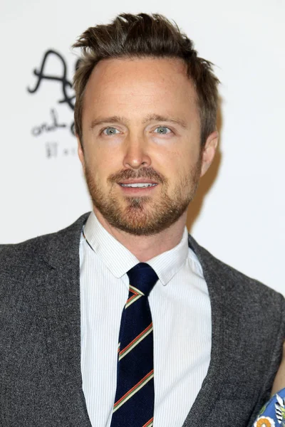 Skådespelaren Aaron Paul — Stockfoto