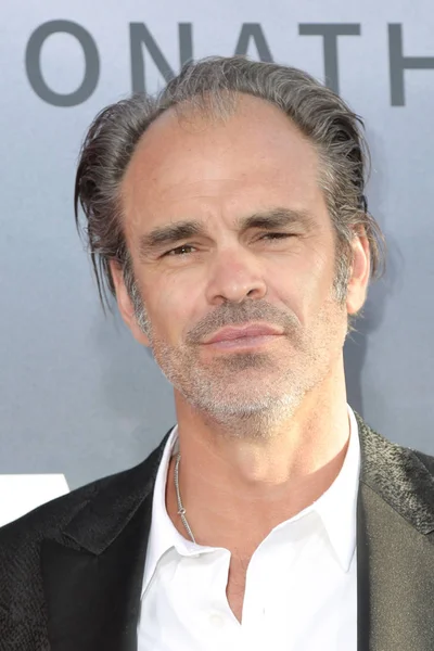 Actor  Steven Ogg — Stock Photo, Image