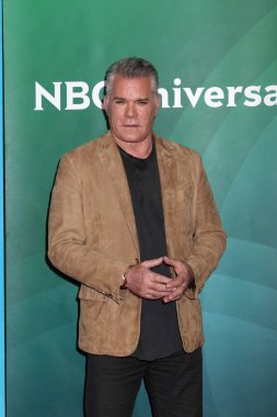 Aktör Ray Liotta'nın