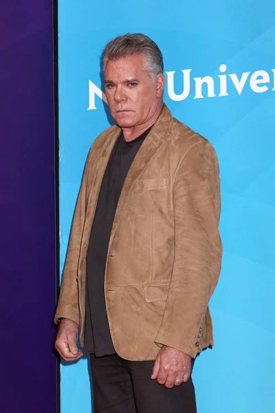 Actor Ray Liotta — Foto de Stock