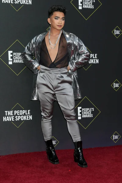 2019 People 's Choice Awards — Stockfoto