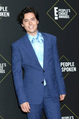 2019 Halkın Seçimi Ödülleri