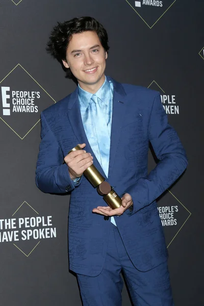 2019 People 's Choice Awards — Fotografia de Stock