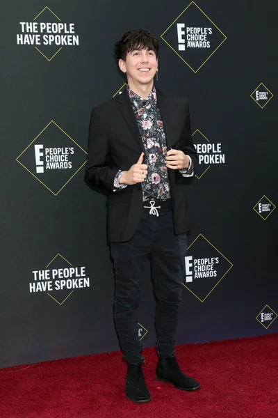 2019 People 's Choice Awards — Stockfoto