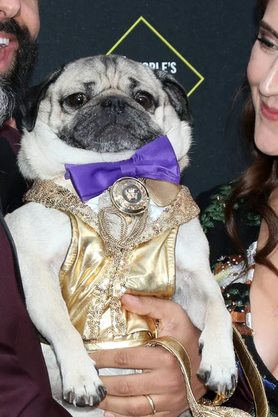 2019 People's Choice Awards — Stock Photo, Image