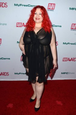 2020 Avn Ödülleri Adayları Partisi