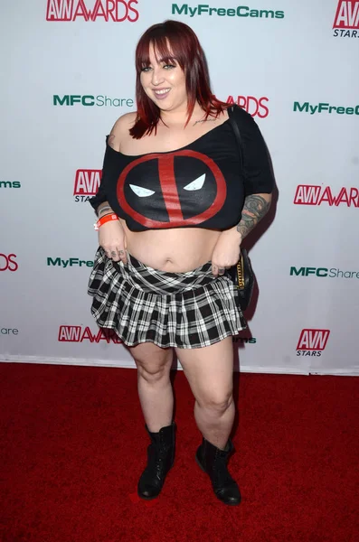 2020 Avn Awards Nominations Party — Stock fotografie