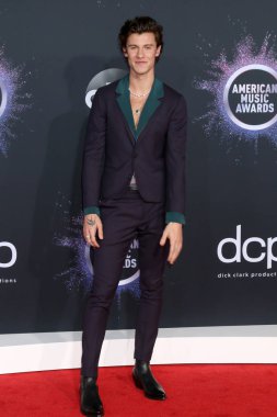 47. Amerikan Müzik Ödülleri - Geliş