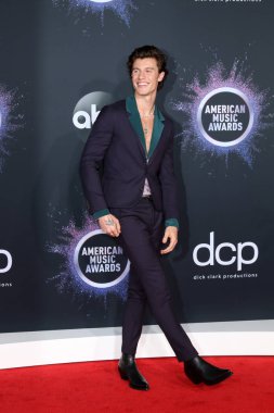 47. Amerikan Müzik Ödülleri - Geliş