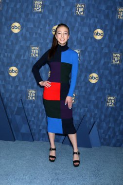 Abc Kış Tca Partisi Gelişi