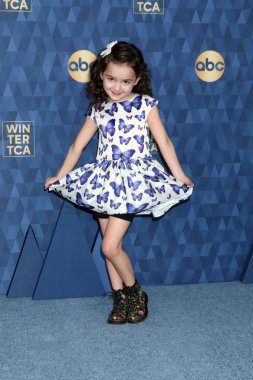 Abc Kış Tca Partisi Gelişi