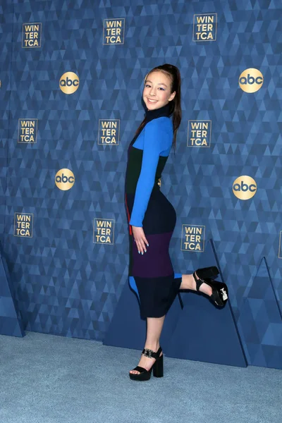 Abc Winter Tca Party Arrivals — 图库照片