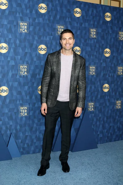 Llegadas a ABC Winter TCA Party — Foto de Stock