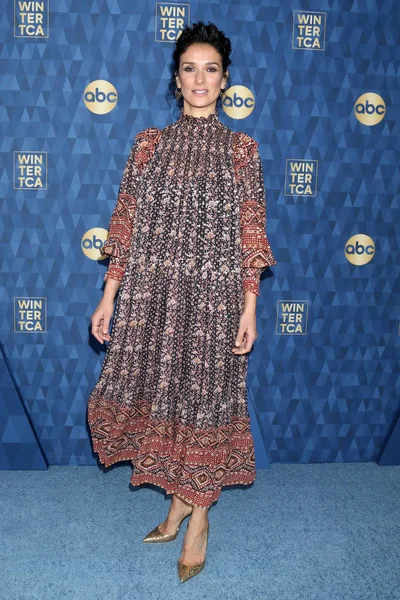 ABC Winter TCA Party Arrivals — 스톡 사진