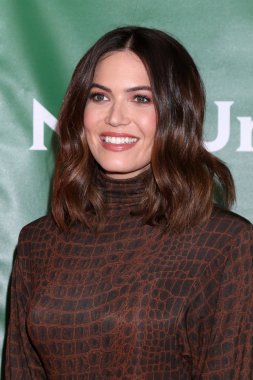 Nbcuniversal Kış Basın Turu