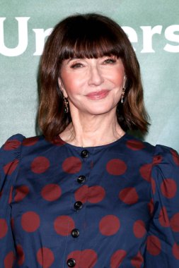 Nbcuniversal Kış Basın Turu