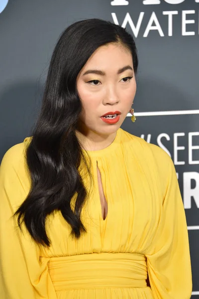 Critics Choice Awards 2020 — Stock Photo, Image