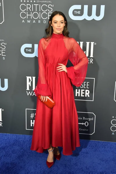 Critics Choice Awards 2020 — Stock Photo, Image