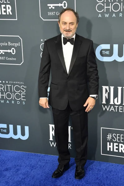 Critics Choice Awards 2020 — Stock Photo, Image