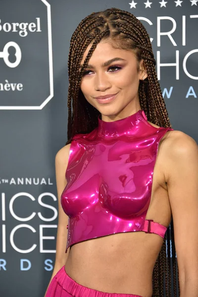 Critics Choice Awards 2020 — Photo