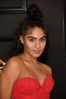 62. Grammy Ödülleri