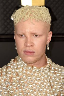 62. Grammy Ödülleri