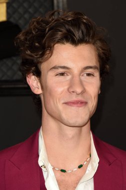 62. Grammy Ödülleri