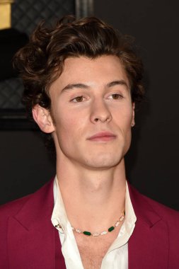 62. Grammy Ödülleri