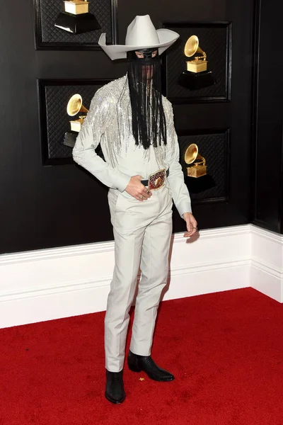 62esimo Grammy Awards — Foto Stock