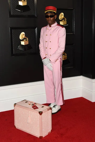 62. Grammy Awards - Stock-foto